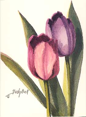 Tulips 4